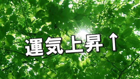 風水 恋愛